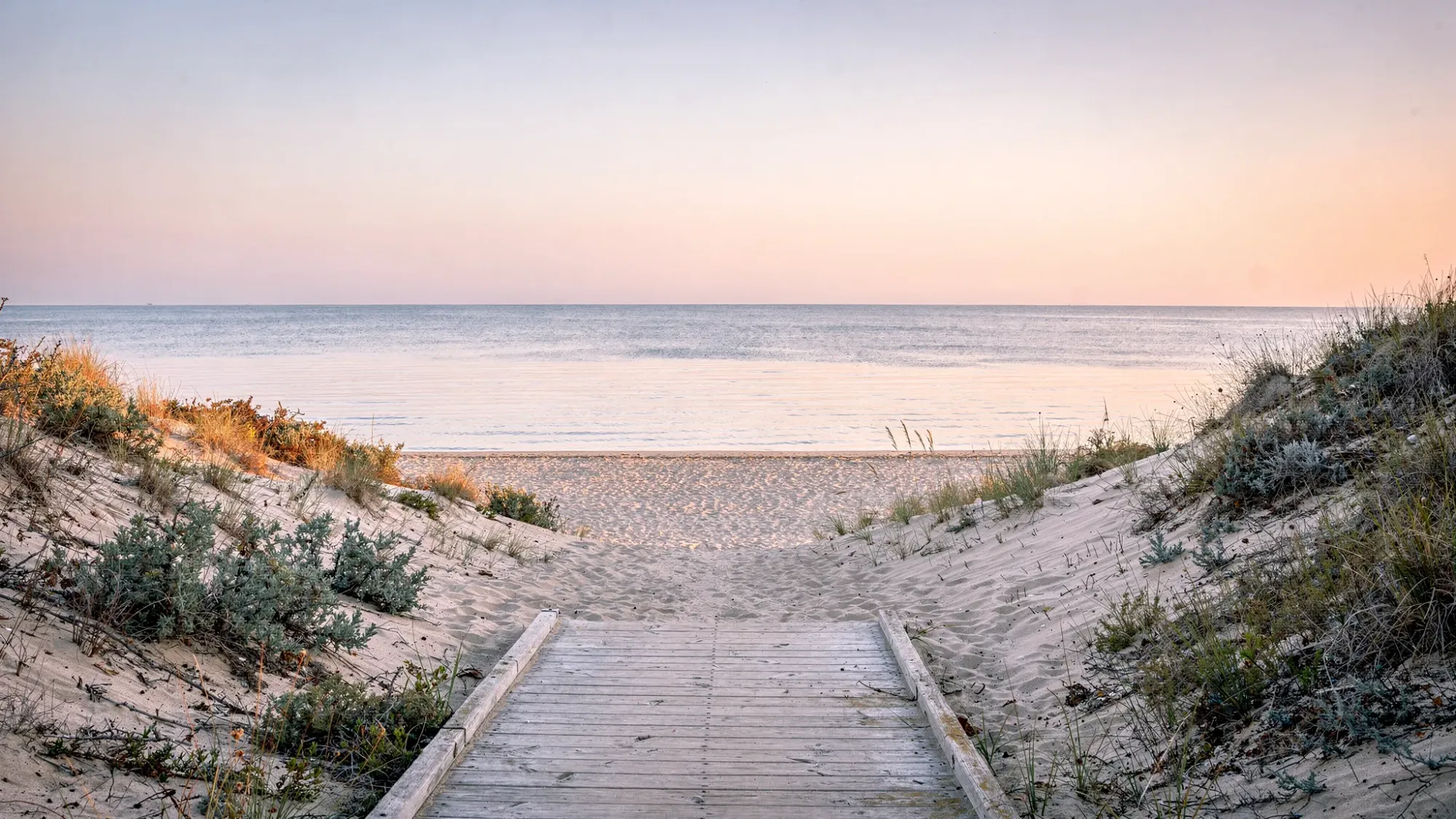 A wide, tranquil view of Arenales del Sol at dawn, with soft pastel sky reflecting on calm Mediterranean water. Low dunes frame the shoreline, and a wooden boardwalk leads toward the beach with no people in sight.