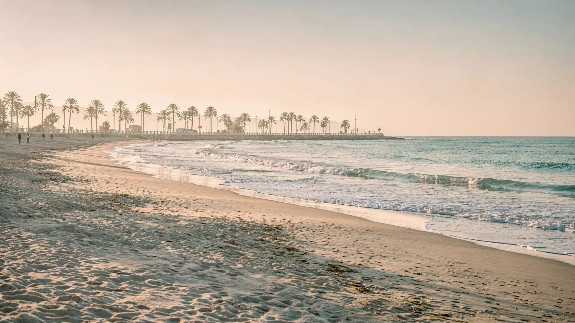 A quiet early-morning scene on Playa de San Juan in Alicante, with a wide stretch of pale sand, gentle waves, and a palm-lined promenade in the distance. The light is soft and low, and the beach feels nearly empty and peaceful.