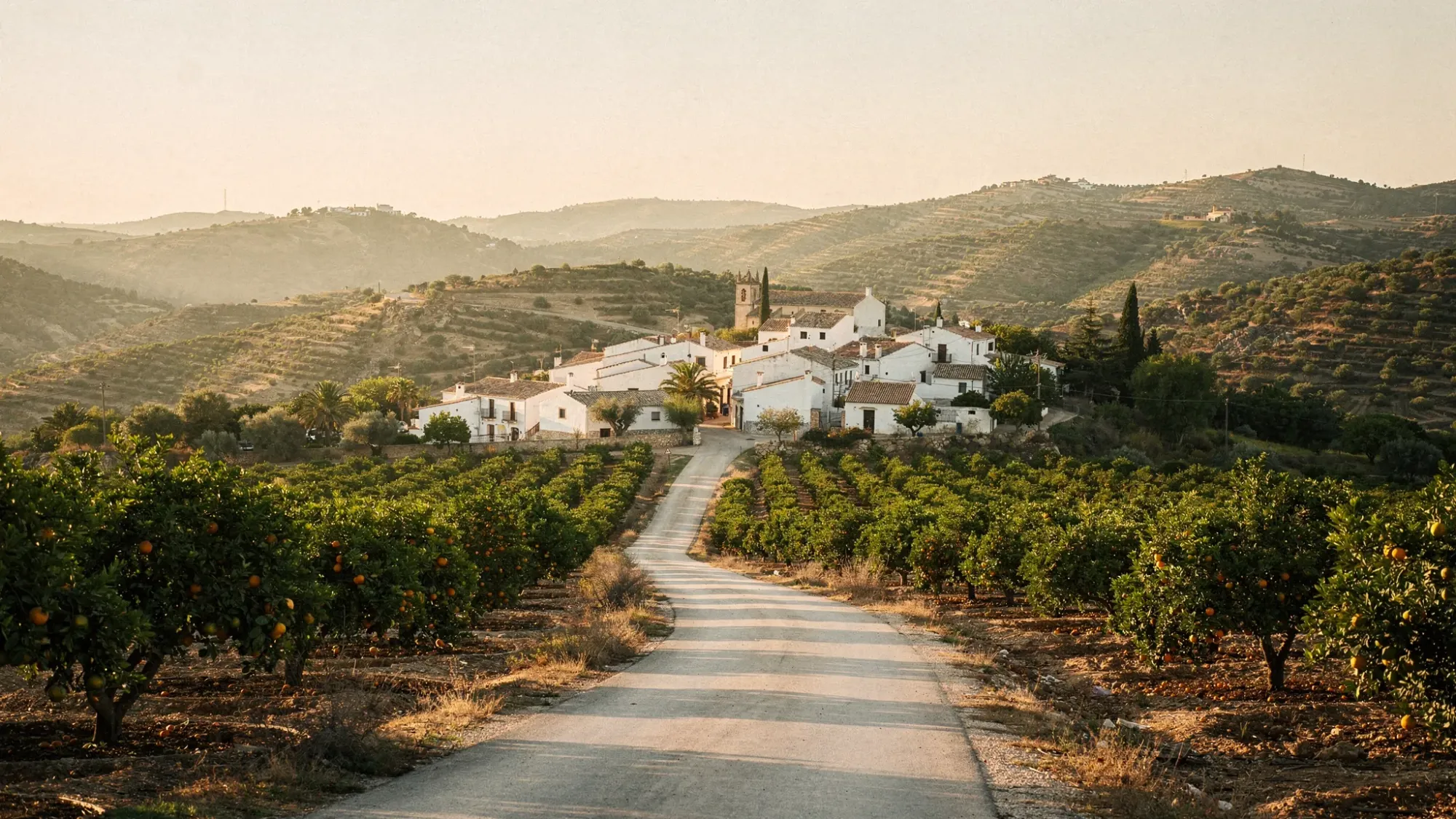 A quiet inland valley in Alicante with layered green hills, citrus groves, and a narrow winding road leading toward a small white village, captured in warm late-afternoon light.