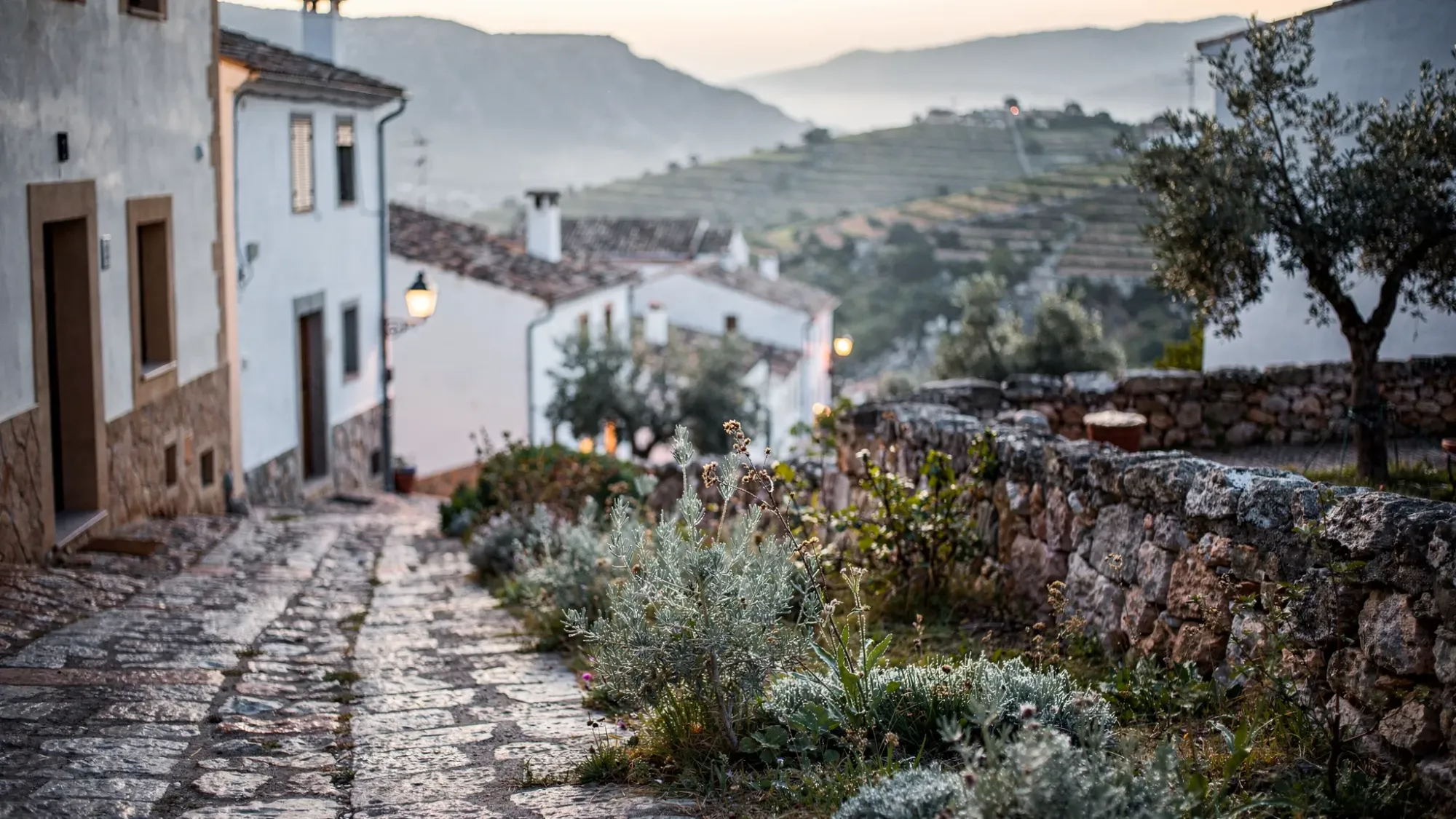 A quiet mountain village in Alicante at dawn, with narrow stone streets, whitewashed houses, soft blue morning light, distant ridgelines, terraced hills, and wild herbs growing along the path.