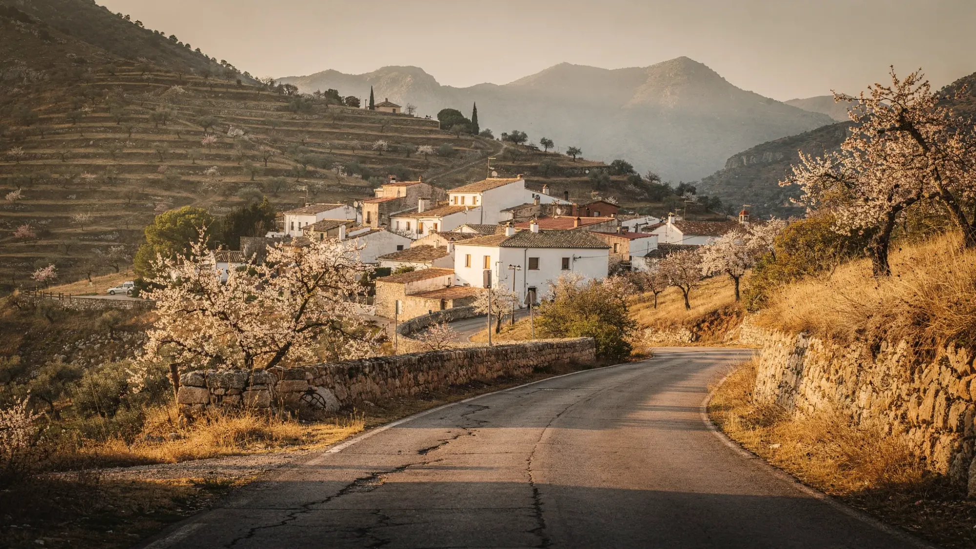 A narrow mountain road curves toward a small inland Spanish village surrounded by olive terraces, almond trees, dry grasses, and soft morning light over the Serra d'Aitana hills.