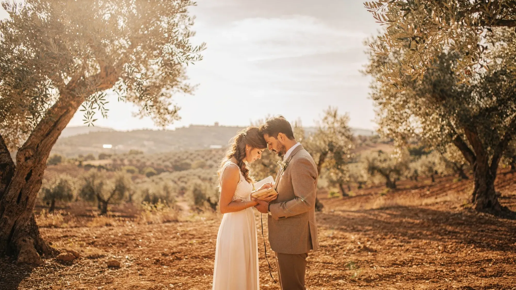 A quiet sunrise elopement scene in a Spanish olive grove, with silvery olive trees, dusty ground, warm early light, and a couple standing close reading vows with the landscape stretching behind them.
